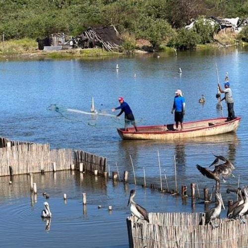  Pescadores del Huizache, El Caimanero, listos para iniciar la temporada de captura – Luz Noticias