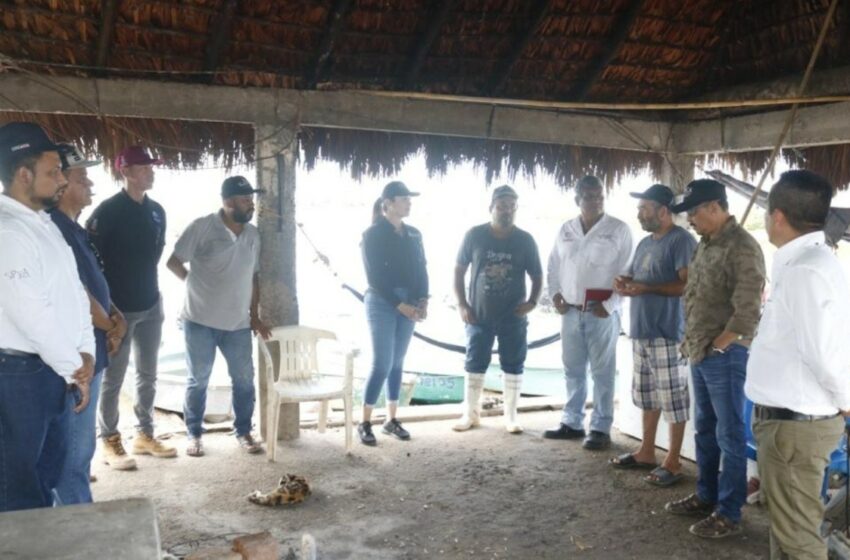  Verifican afectaciones en los sitios pesqueros provocados por "Orlene" en Escuinapa