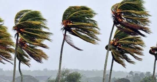  Prevén vientos fuertes de hasta 80 km/h en Tamaulipas – NotiGAPE