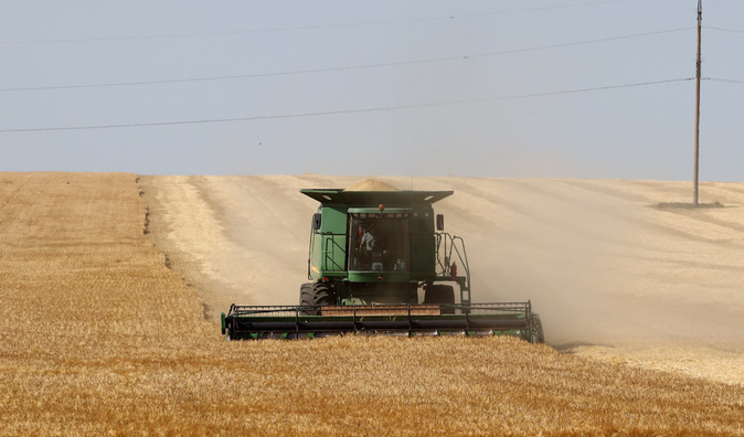  Rusia reanuda su participación en el acuerdo de exportación de cereales ucranianos