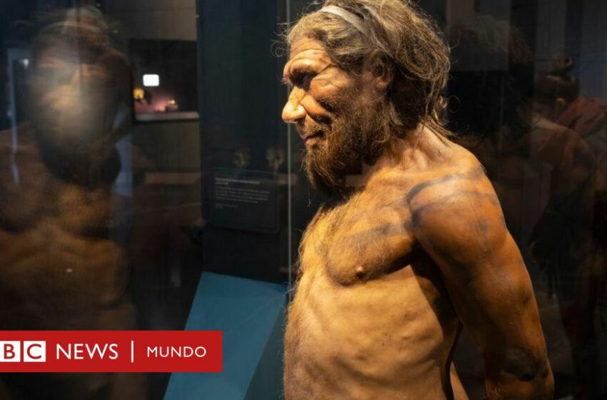  ¿La violencia o el sexo?: la investigación que busca descifrar qué acabó con los neandertales