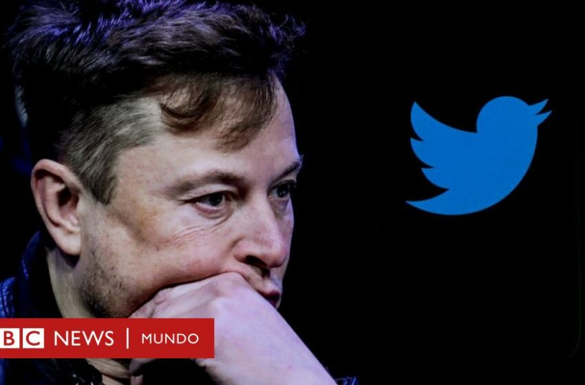  Twitter despide a la mitad de su empleados mientras Elon Musk asegura que la empresa «pierde US$4 millones por día»