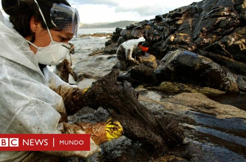  20 años del Prestige, la mayor catástrofe ambiental de la historia de España – BBC