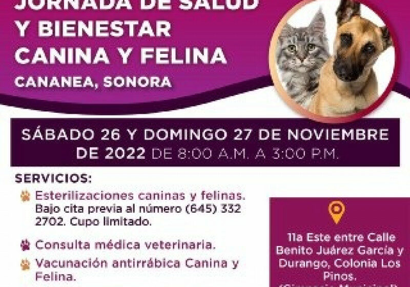  Invita Salud Sonora a vacunar mascotas para que Sonora siga libre de rabia humana – TVP