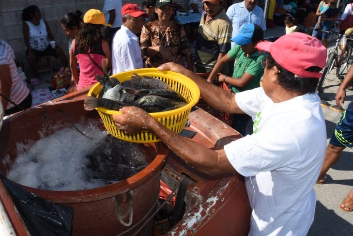  Yucatán: Pescadores de Kantunil reciben apoyos para producción de tilapia