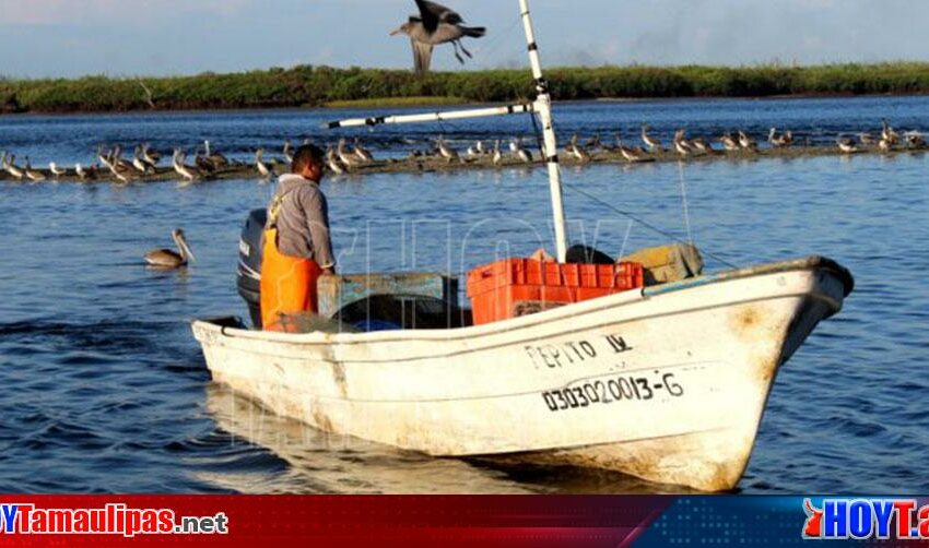  Arranca en BCS programa de ordenamiento pesquero – Hoy Tamaulipas