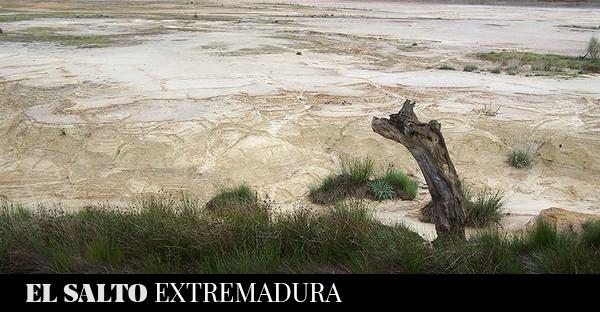  Proyecto de mina de Cañaveral: una amenaza letal para acuíferos esenciales – El Salto