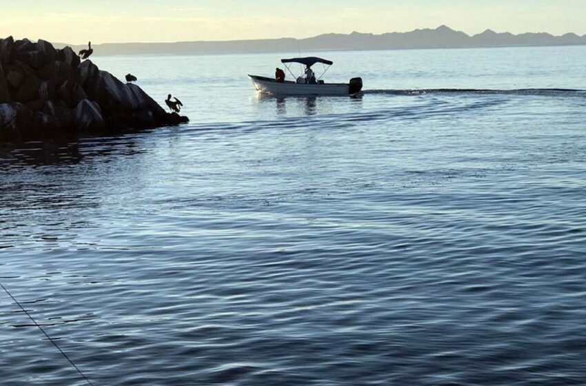  Pesca deportiva, pilar del turismo en Loreto – El Sudcaliforniano