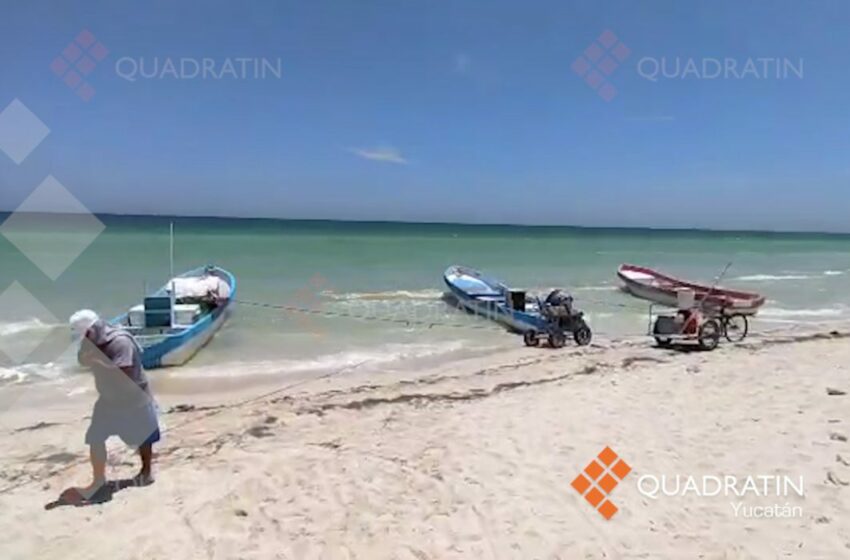  Pesca furtiva estuvo activa en Yucatán: Conapesca – Quadratín
