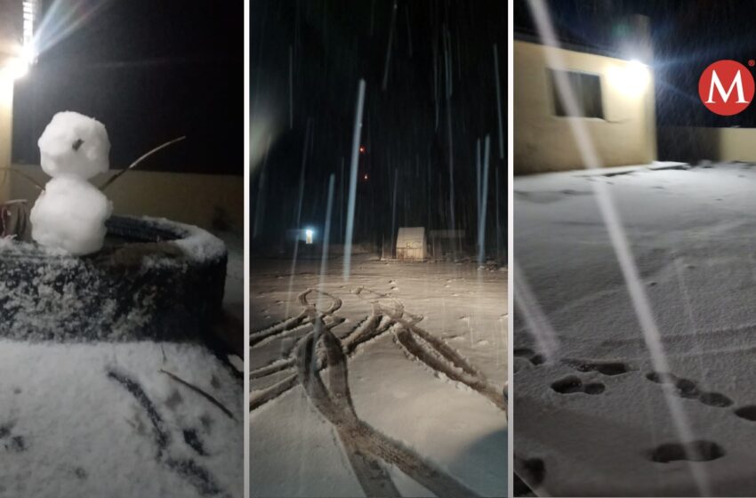  Cae la primera nevada en el Cerro del Potosí en Galeana, Nuevo León – MILENIO