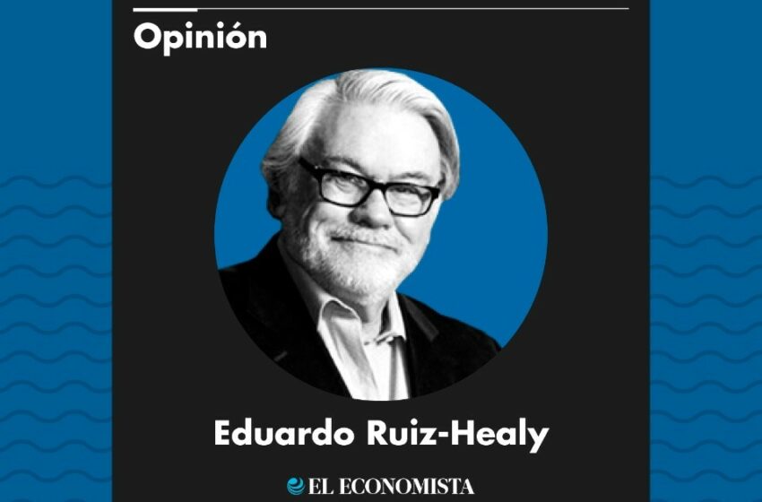  Los expertos holandeses pueden enseñarle algo a los mexicanos – El Economista