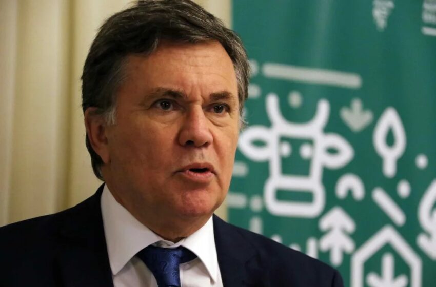  América destaca la seguridad alimentaria como esencial para la sostenibilidad | MPV