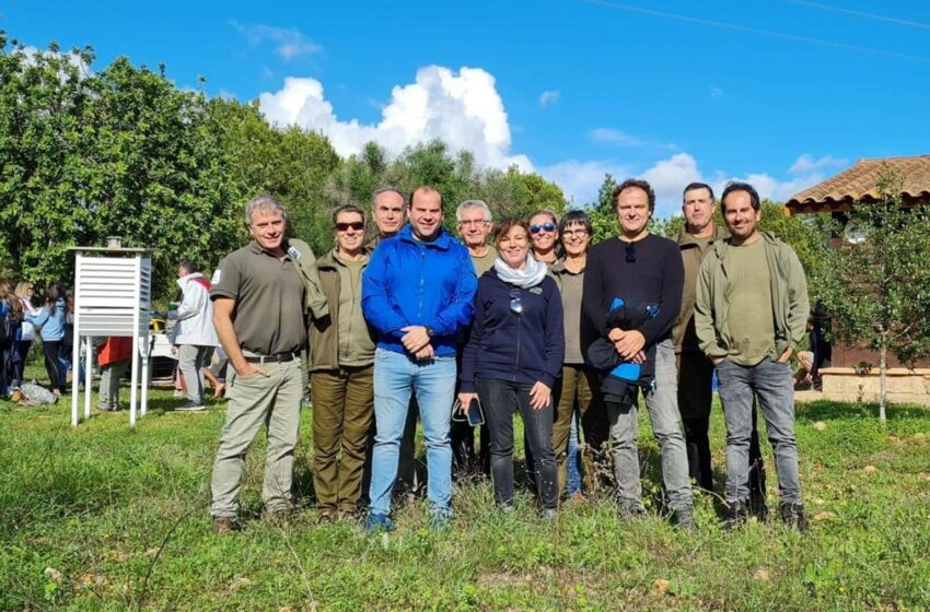  El Parque Natural de Mondragó celebra los 30 años con actividades ambientales – Okdiario