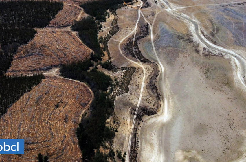  Ministerio de Medio Ambiente confirma que sequía en Chile llegó a 14 años consecutivos