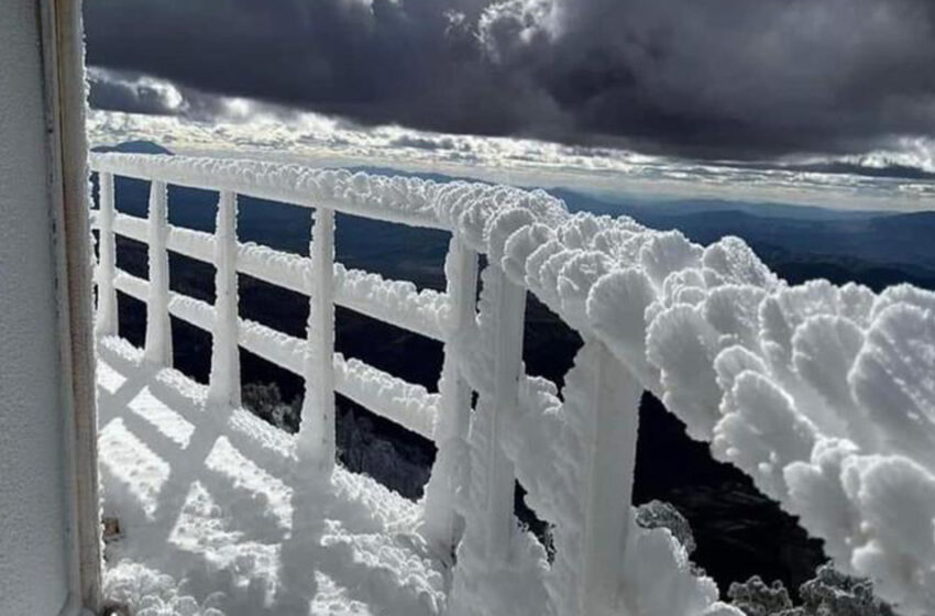  ¡Asombroso! Sierra de Sonora se pinta de blanco por primera tormenta invernal – Excélsior
