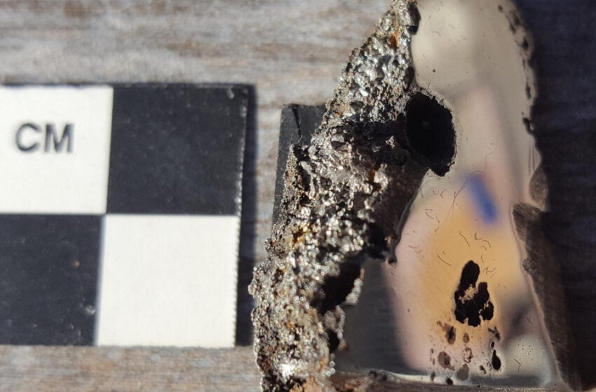  Elaliita y elkinstatonita: los minerales alienígenas descubiertos en un meteorito en Somalia