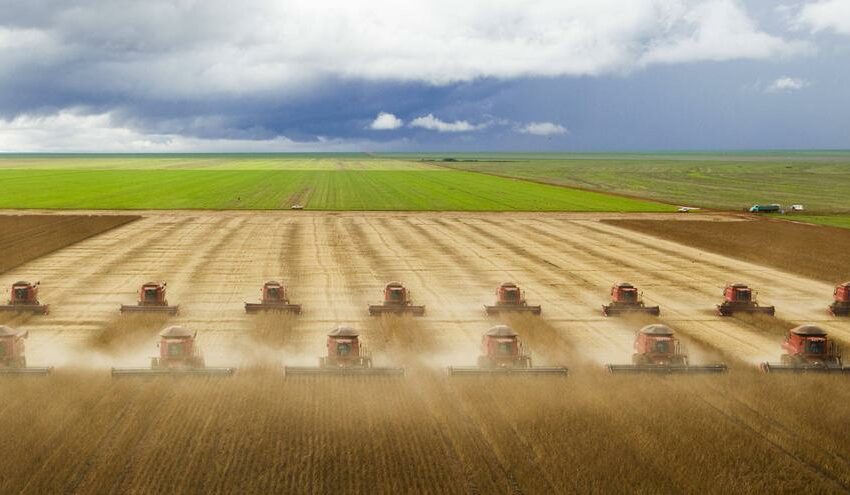  ¿Cuáles son los cinco países que más dañan el planeta en la producción de alimentos?