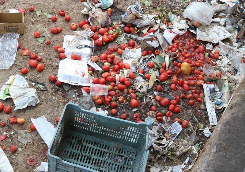  Gran desperdicio de alimentos al año – Diario de Chiapas