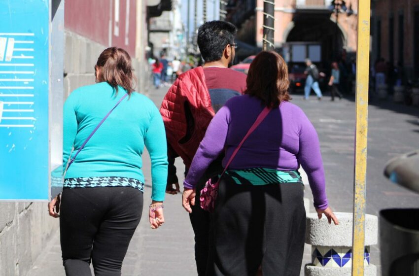  Obesas o con sobrepeso, siete de cada 10 personas en Puebla – La Jornada de Oriente