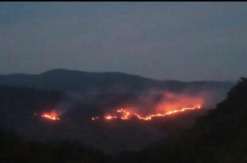  En alerta 6 departamentos el país por emergencias de incendios forestales – Caracol Radio