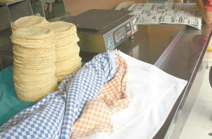  Canasta básica: La tortilla subió de precio a lo largo del año – Punto MX