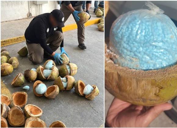  Sonora: van a proceso dos por traslado de fentanilo escondido en cocos – Vanguardia