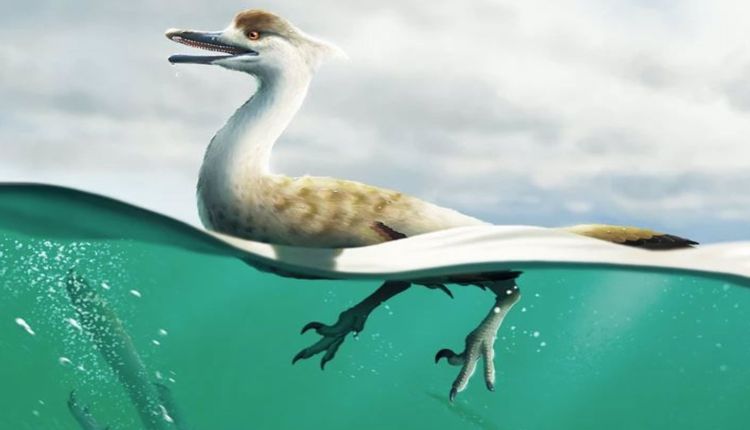  Paleontólogos descubren restos del primer dinosaurio nadador