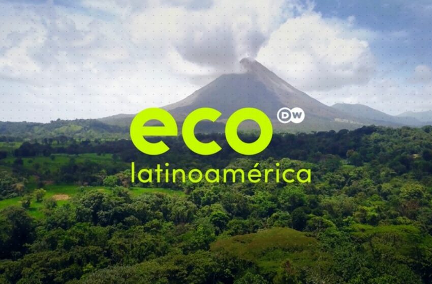  Heraldo TV y DW Español presentan Eco Latinoamérica, un magacín del medio ambiente
