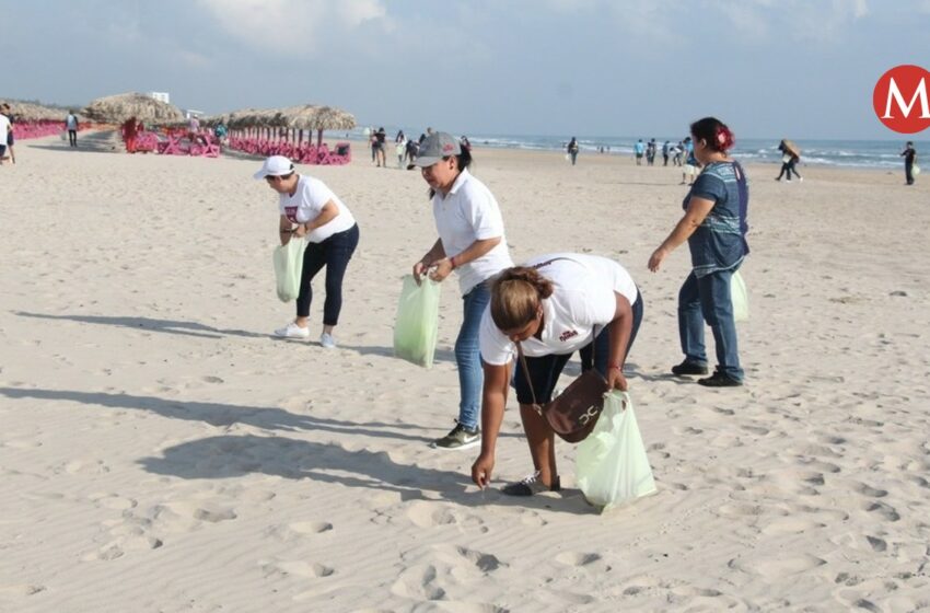  Playas limpias en Tamaulipas para vacaciones decembrinas 2022 – Grupo Milenio