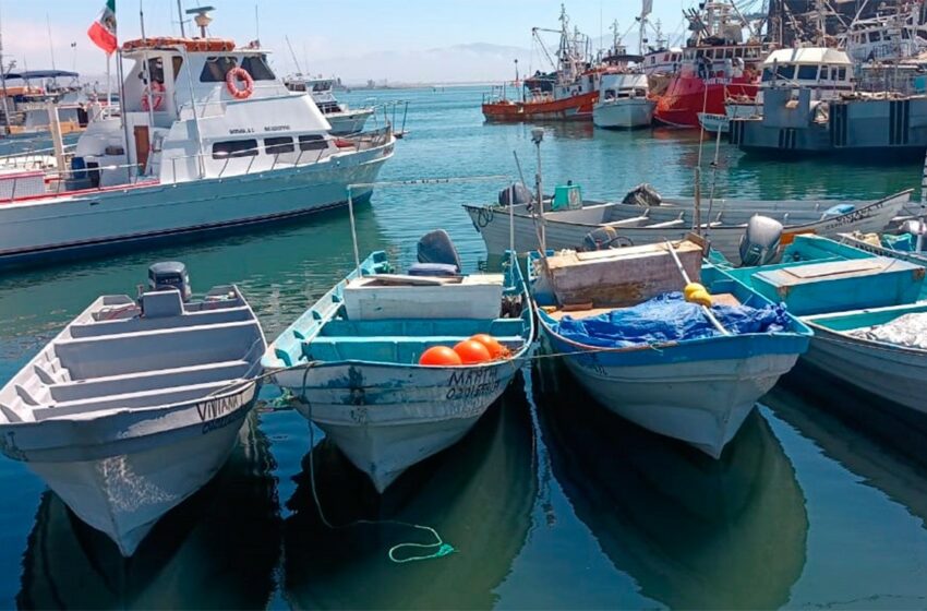  SEPESCA pide tomar precauciones para la navegación en Ensenada – Debate