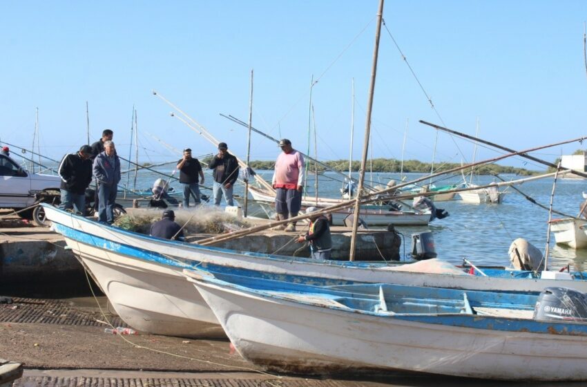  Pescadores se preparan para salir al camarón caqui el 1 de enero en Angostura – Debate