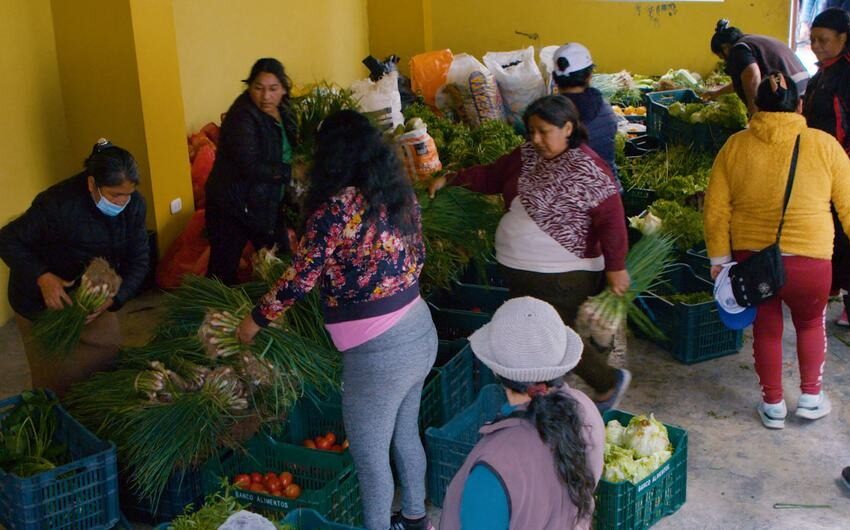  América Latina frente a un triple desafío: el hambre, la pobreza y la producción de alimentos
