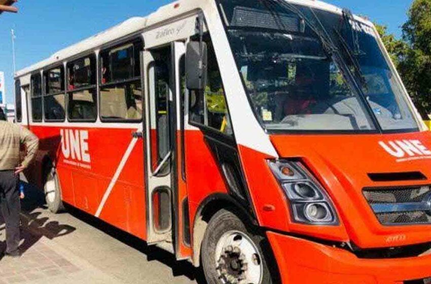  100 mdp destinarán para camiones de transporte público en Sonora: Lirio del Castillo