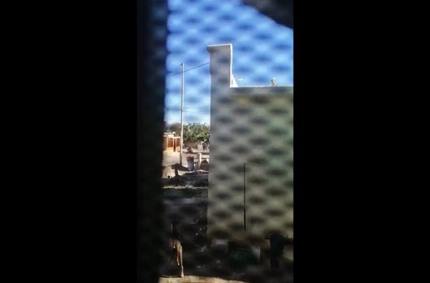  VIDEO: Fuertes balaceras provocan pánico en población de Guaymas, Sonora