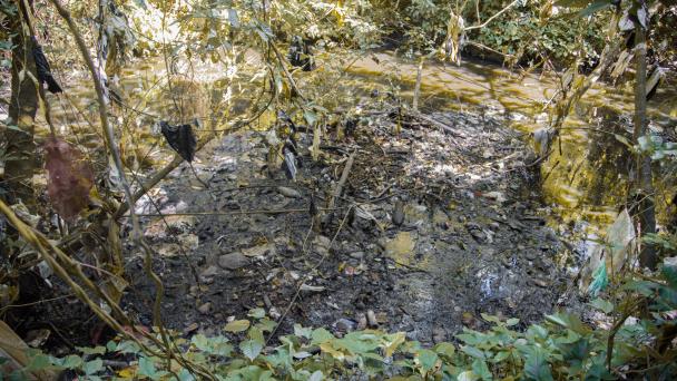  Lixiviados: serios contaminantes de Duquesa que matan al río Isabela – Diario Libre