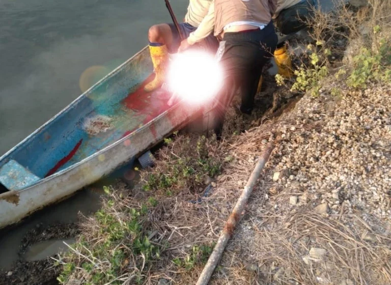  Cocodrilo mutila pierna de pescador en Escuinapa | Lo relevante | Noticias | TVP | TVPACIFICO.MX