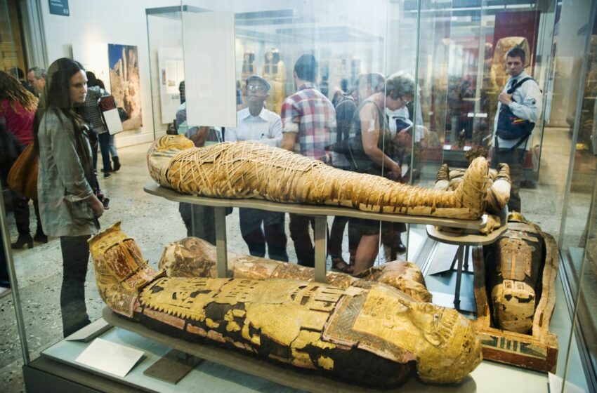  Los museos británicos recomiendan que se evite decir “momia” y se utilice “restos momificados”