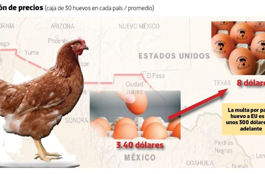  Aumenta el contrabando de huevo mexicano hacia Estados Unidos