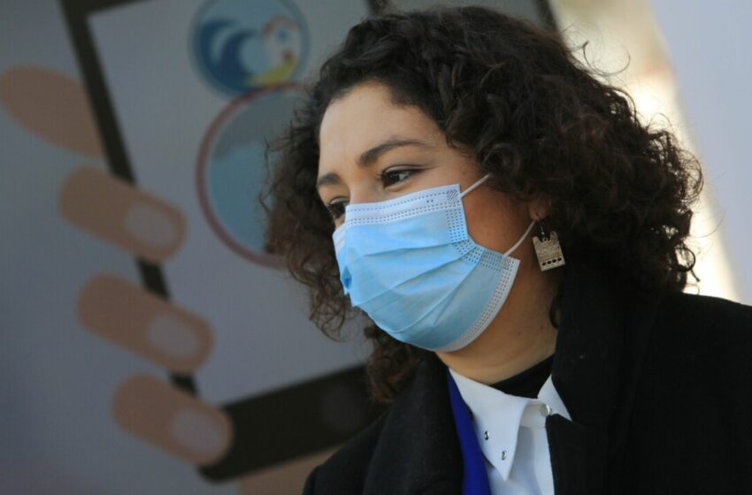  Ante plaga de moscas: alcaldesa de Melipilla pide oficiar al ministerio del Medio Ambiente