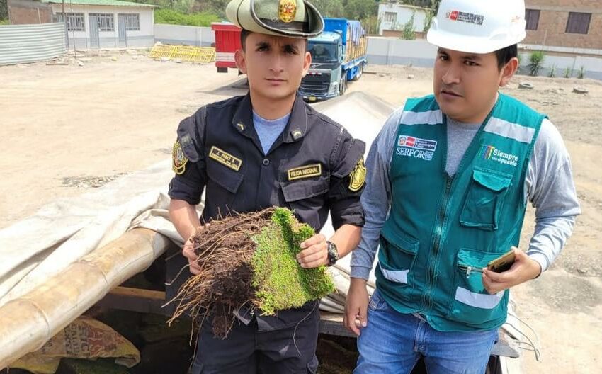  Policía incauta S/120 mil en productos forestales ilegalmente extraídos | LIMA – Perú 21