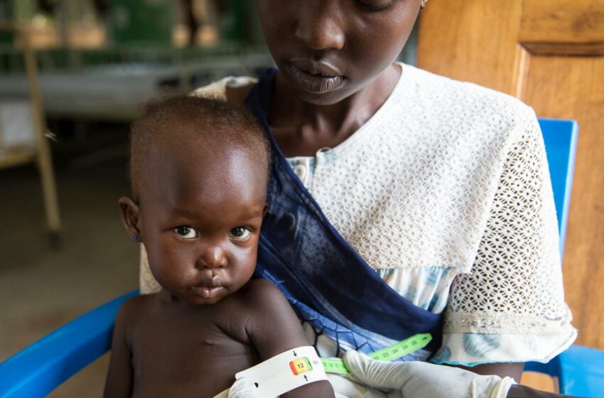  Es necesaria una acción urgente frente a una desnutrición que amenaza la vida de millones de niños y niñas …