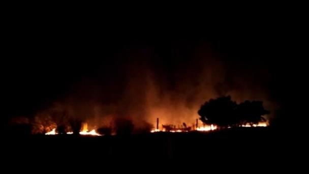  Tomarán acciones contra incendios forestales en el Valle del Yaqui – Expreso