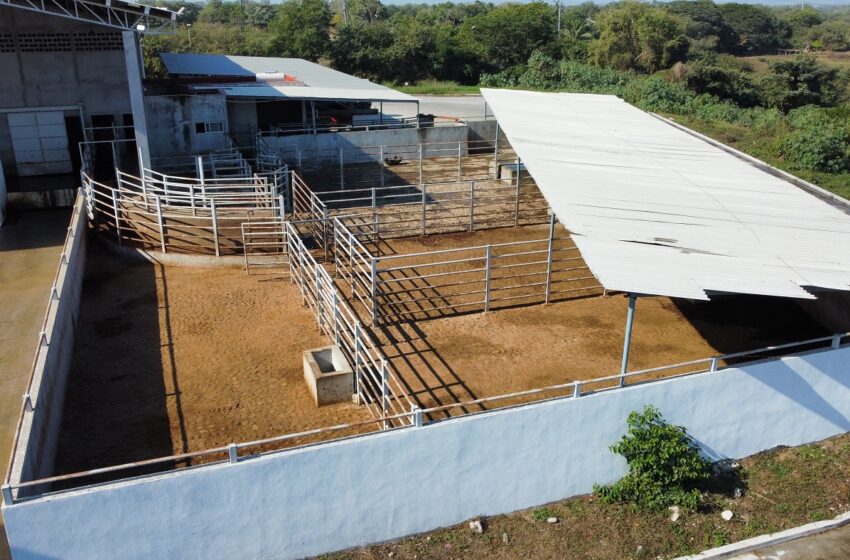  Construyeron comedero para ganado en resguardo | Meridiano.mx