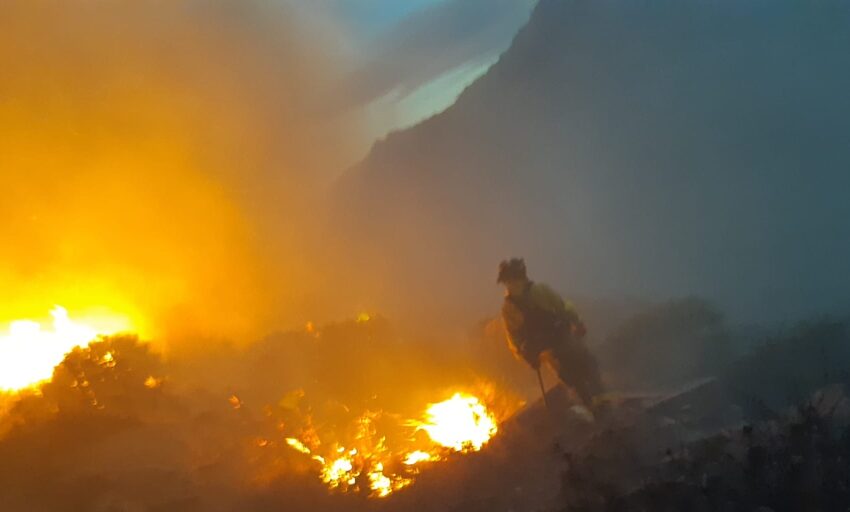  MEDIO AMBIENTE: El Infoca lucha contra las llamas del primer incendio forestal del año en Almería