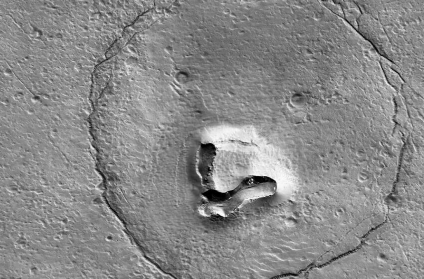  La NASA descubre un la cara de un oso en Marte