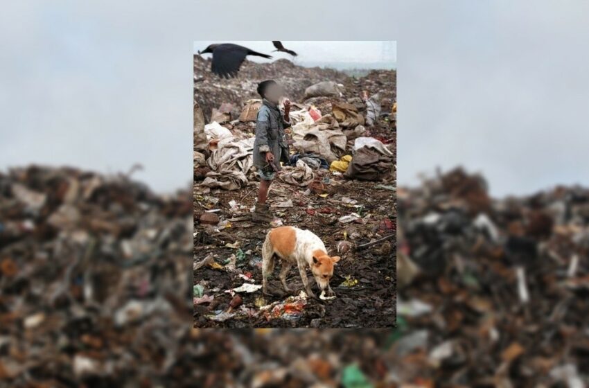  "No conseguí nada para comer", niño abandonado en basurero busca alimentos con su perrito