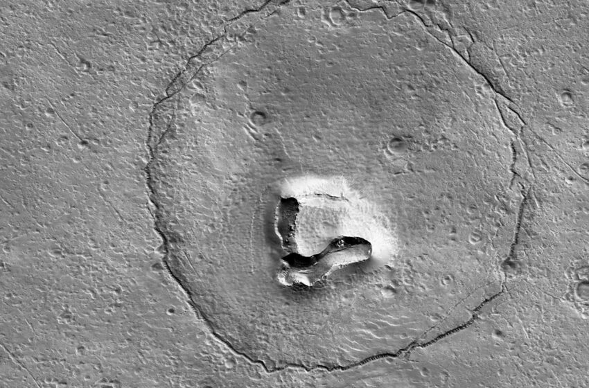  En la superficie de Marte, la NASA captura la imagen del rostro de un oso