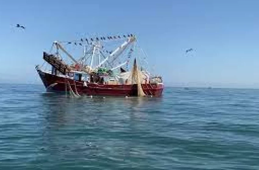  Crisis en la pesca del norte de Sinaloa | Lo relevante | Noticias | TVP | TVPACIFICO.MX