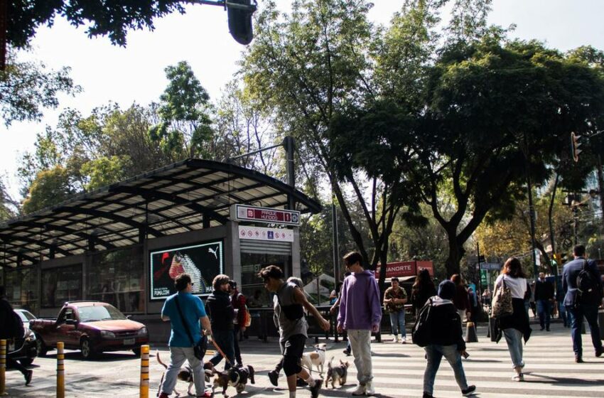  COVID-19 en México: Suman 21978 casos y 281 muertes en una semana – El Financiero