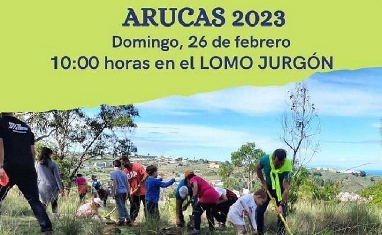  Arucas celebra el Día Municipal del Árbol | Información del Noroeste de Gran Canaria